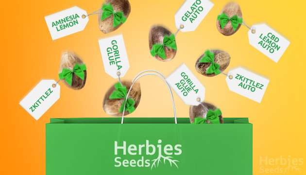 Cannabis Seeds Free Herbies